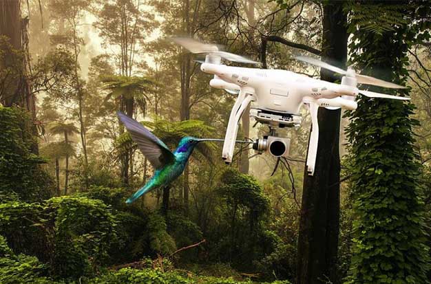 Can I Fly My Drone in a National Park? Everything You Need to Know